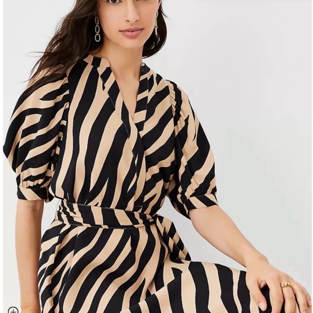 Ann Taylor Beige and Black Zebra-Stripe Midi Dress